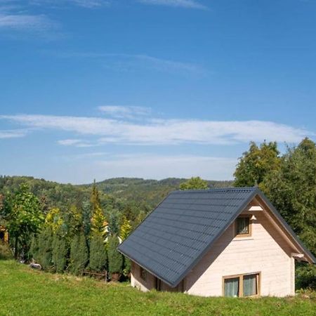 Domek Na Lesnym Wzgorzu Pieszyce Exterior foto