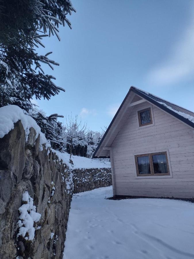 Domek Na Lesnym Wzgorzu Pieszyce Exterior foto